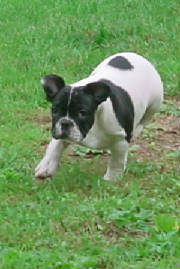 dsc01848.jpg
